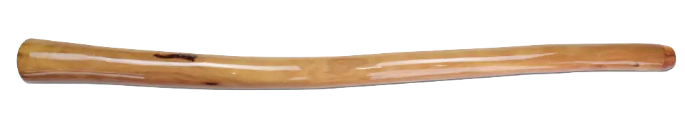 Un didgeridoo en eucalyptus creusé par les termites