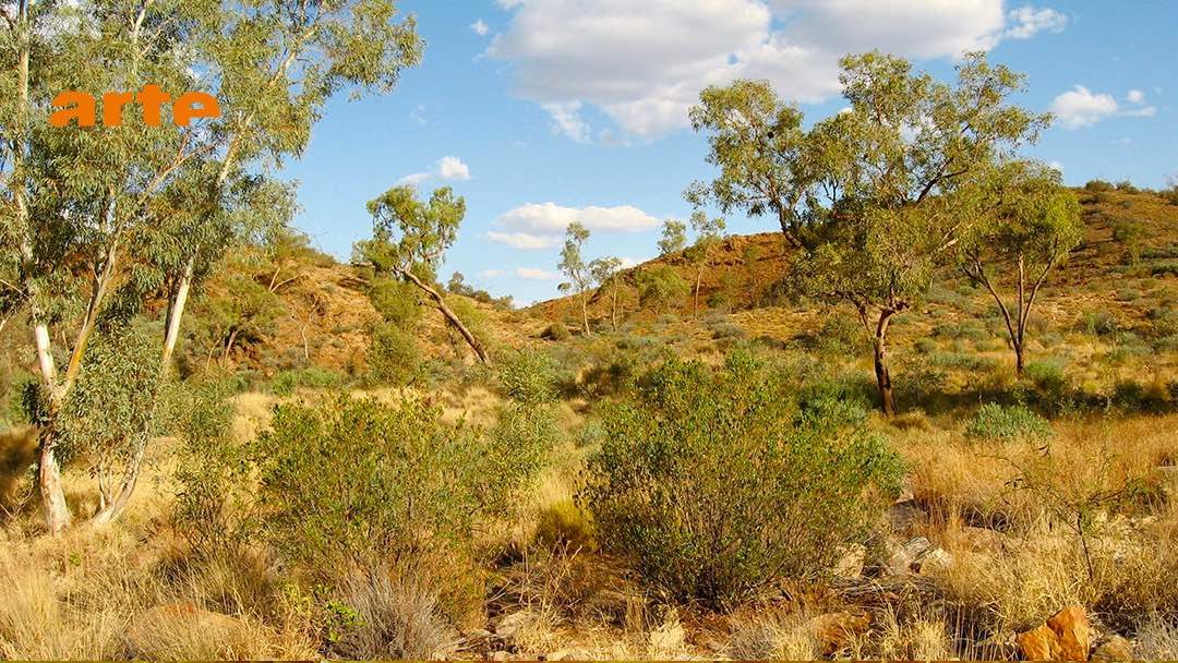 sites de rencontre gratuits dans le sud de l’AustralieRSVP site de rencontre