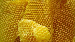 beeswax