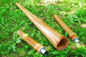 the logo of the didgeridoo maker DidgElement