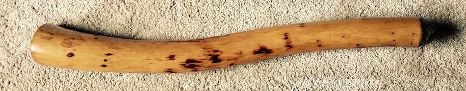 Un didgeridoo court en fa dièse