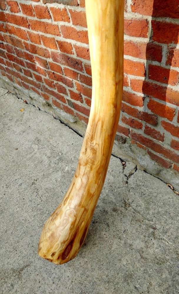 The didgeridoo is varnished