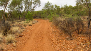 piste dans le Bush australien