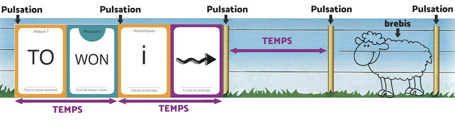 addition of Wakatoo cards to the fence diagram