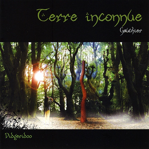 Pochette de l'album Terre inconnue
